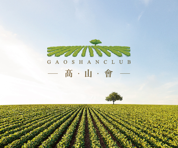 如何在品牌VI設(shè)計中考慮用戶界面和交互設(shè)計？